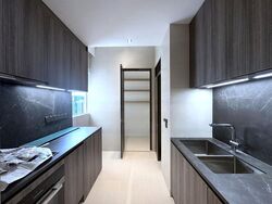 Klimt Cairnhill (D9), Apartment #473974181